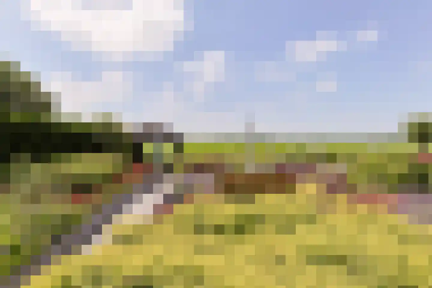 Aambeeld 13 Nieuwkoop thumbnail 52