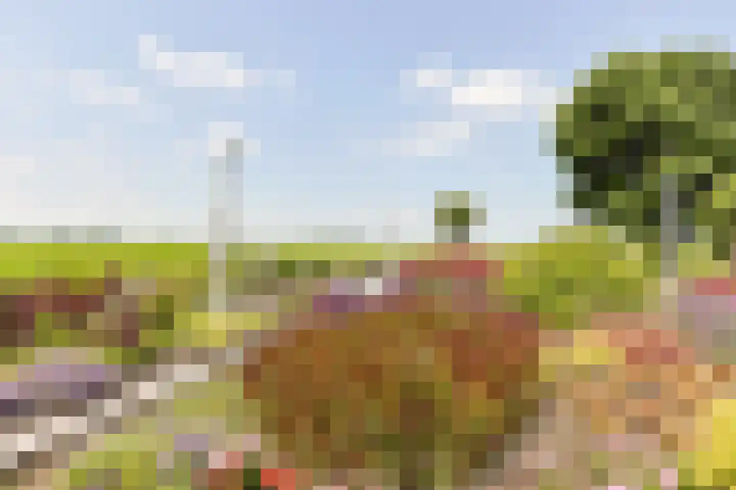 Aambeeld 13 Nieuwkoop thumbnail 53