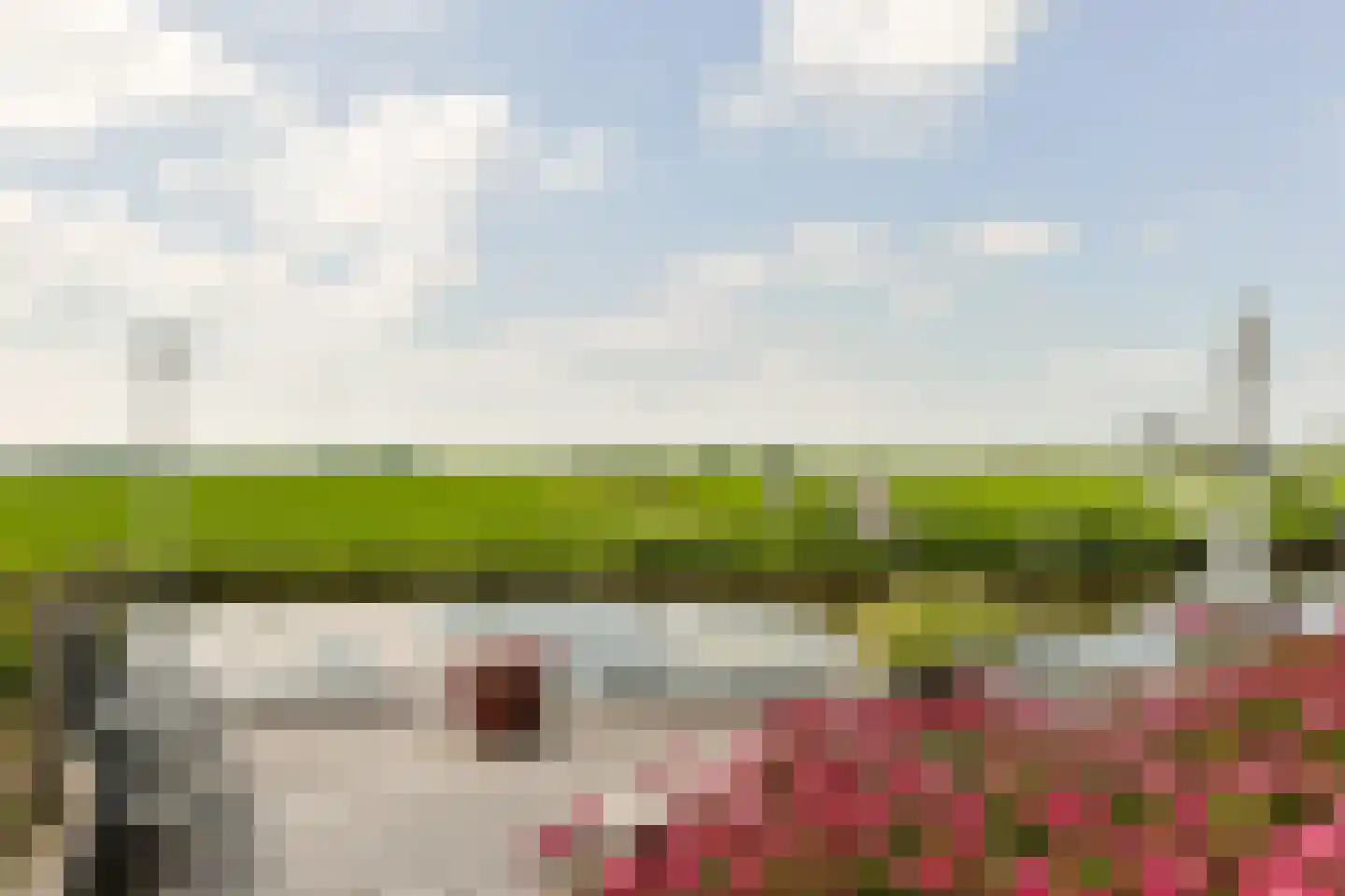 Aambeeld 13 Nieuwkoop thumbnail 58