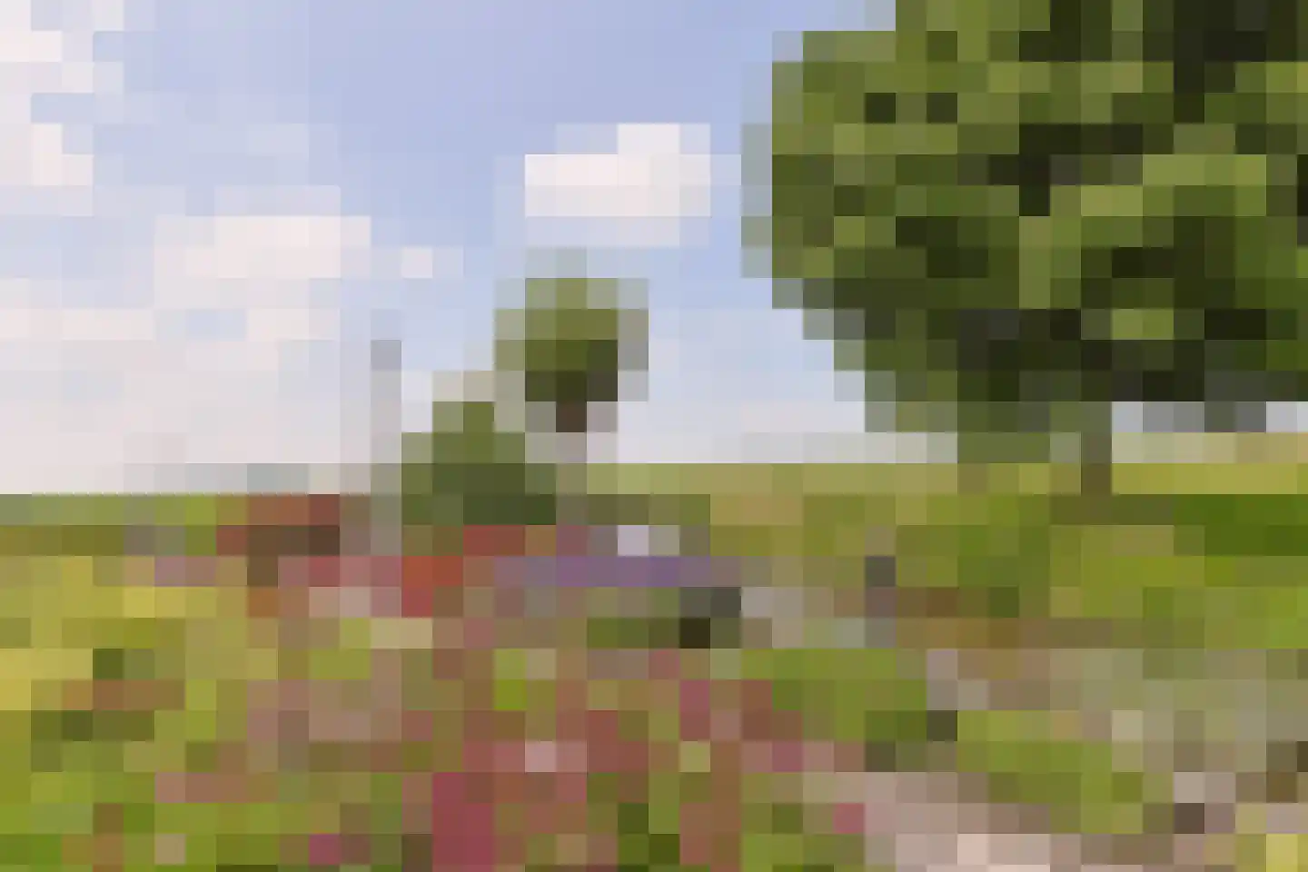 Aambeeld 13 Nieuwkoop thumbnail 59