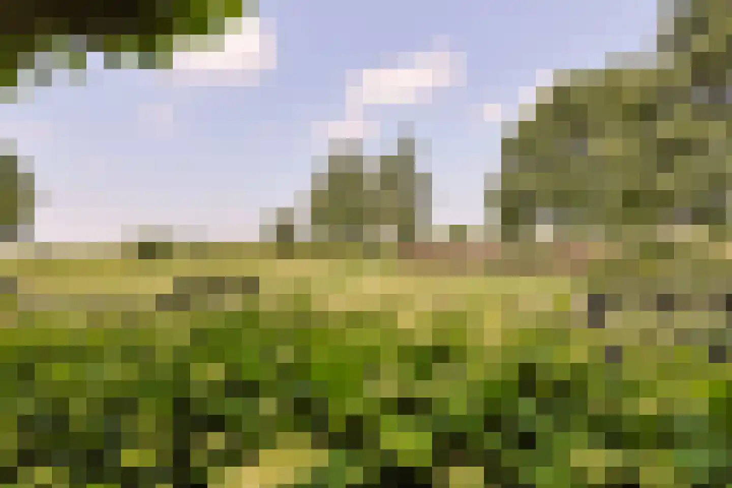 Aambeeld 13 Nieuwkoop thumbnail 60