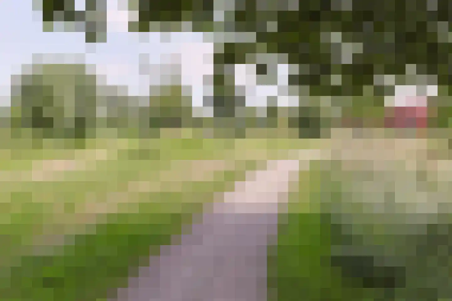 Aambeeld 13 Nieuwkoop thumbnail 61