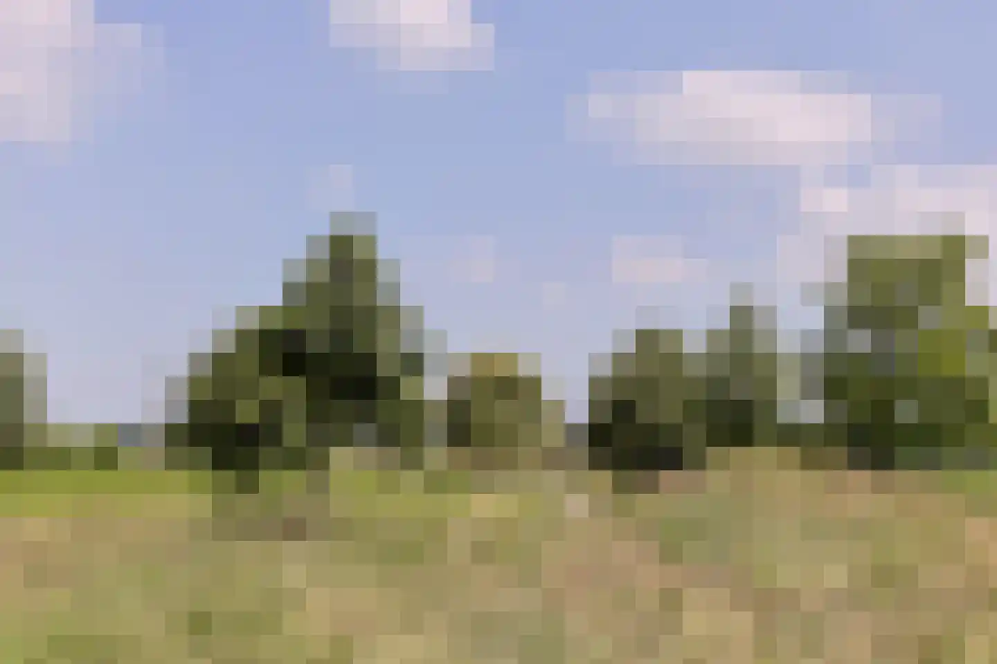 Aambeeld 13 Nieuwkoop thumbnail 62