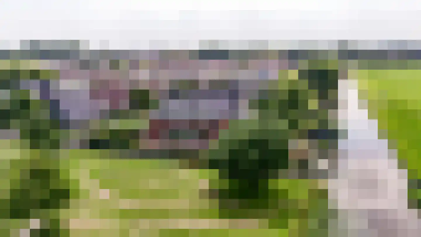 Aambeeld 13 Nieuwkoop thumbnail 63