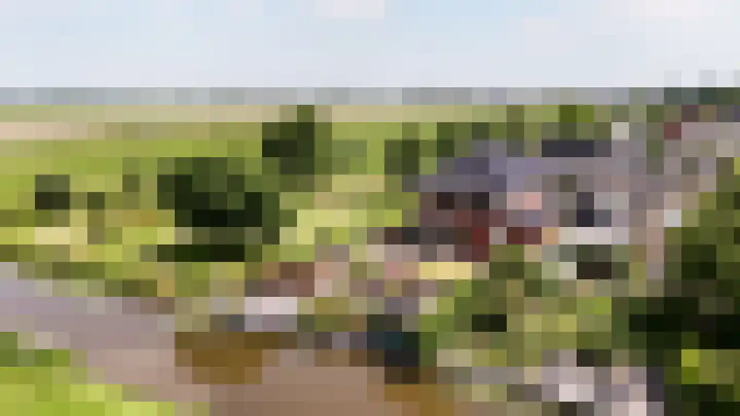 Aambeeld 13 Nieuwkoop thumbnail 65