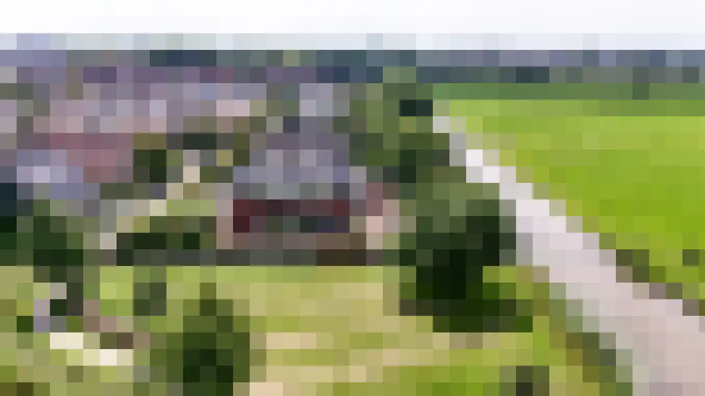 Aambeeld 13 Nieuwkoop thumbnail 67