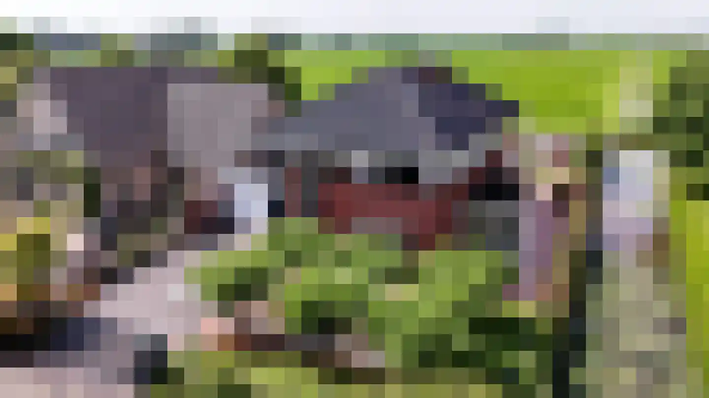 Aambeeld 13 Nieuwkoop thumbnail 68