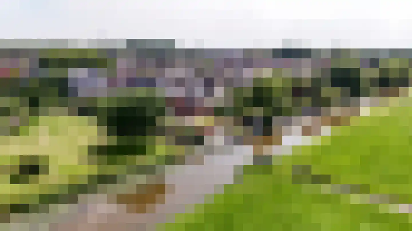 Aambeeld 13 Nieuwkoop thumbnail 69