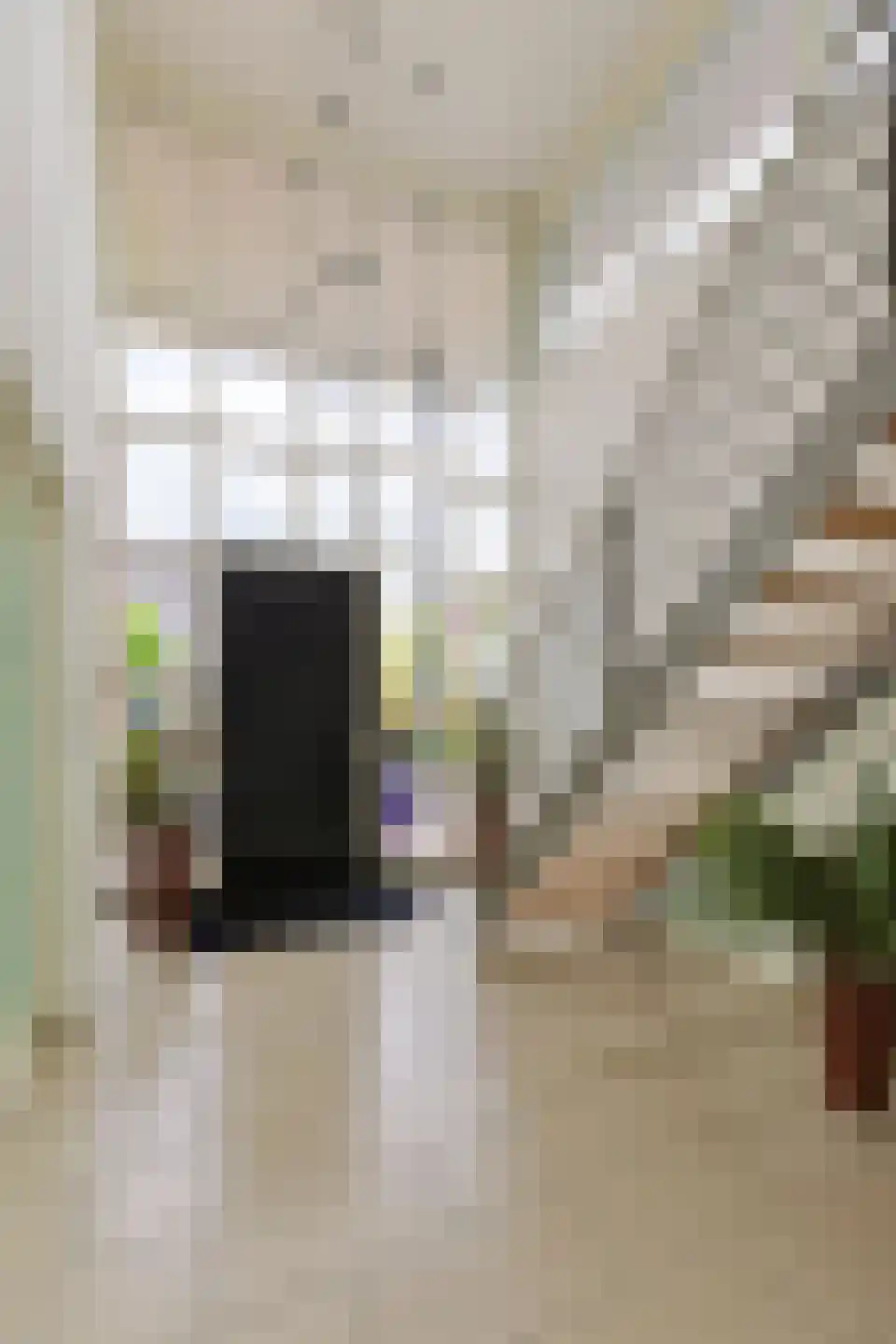 Aambeeld 13 Nieuwkoop thumbnail 7