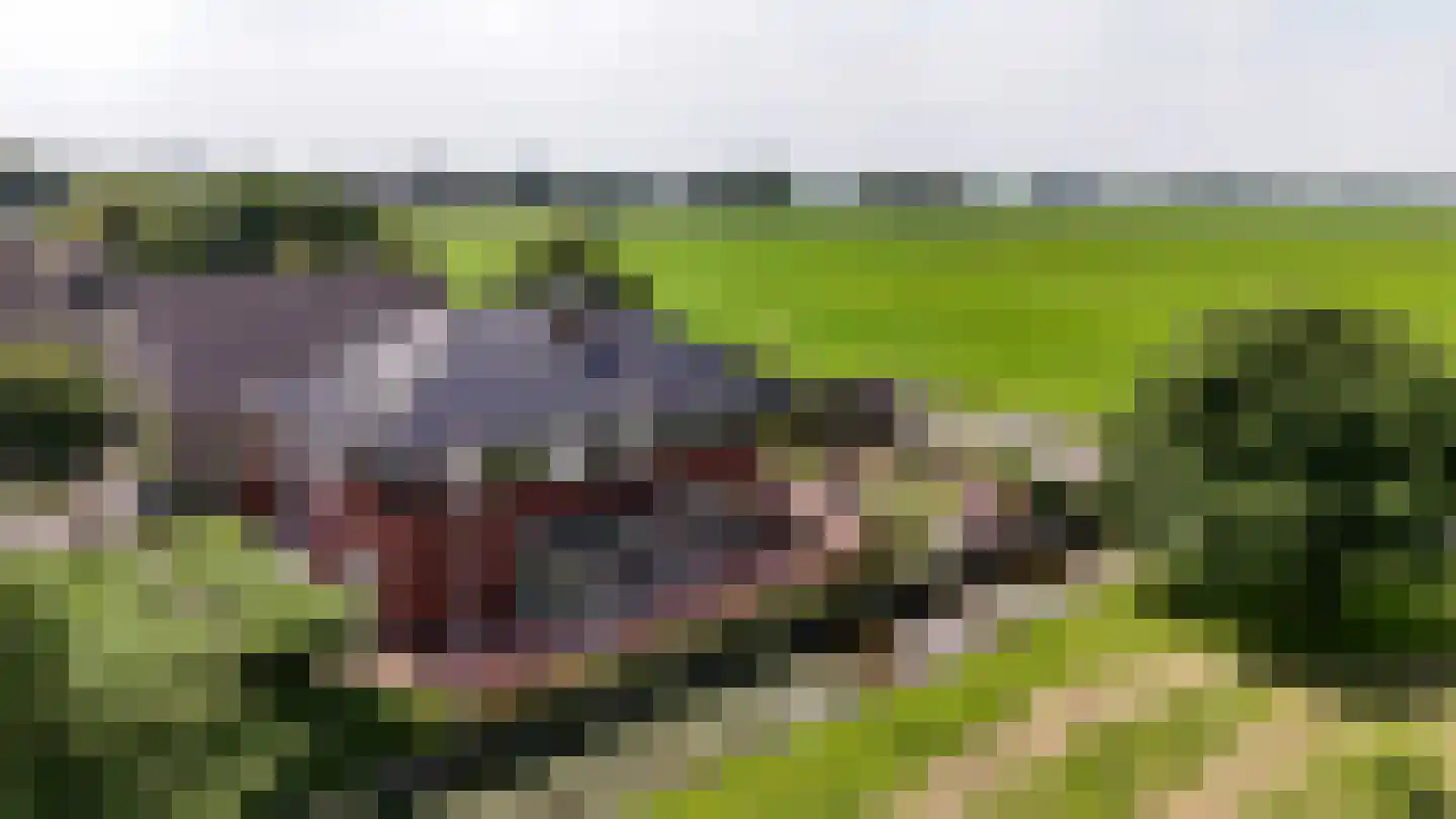 Aambeeld 13 Nieuwkoop thumbnail 70