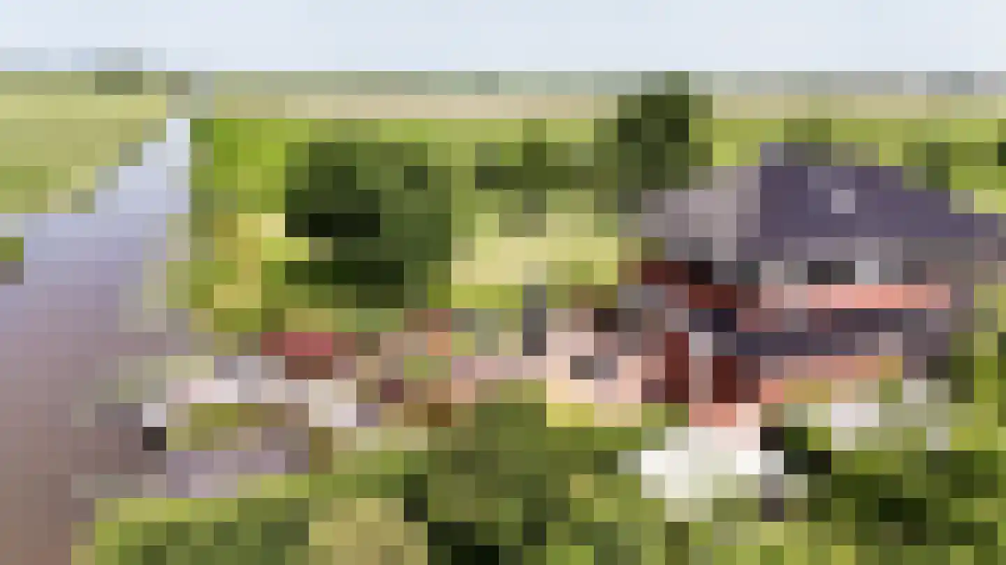 Aambeeld 13 Nieuwkoop thumbnail 71