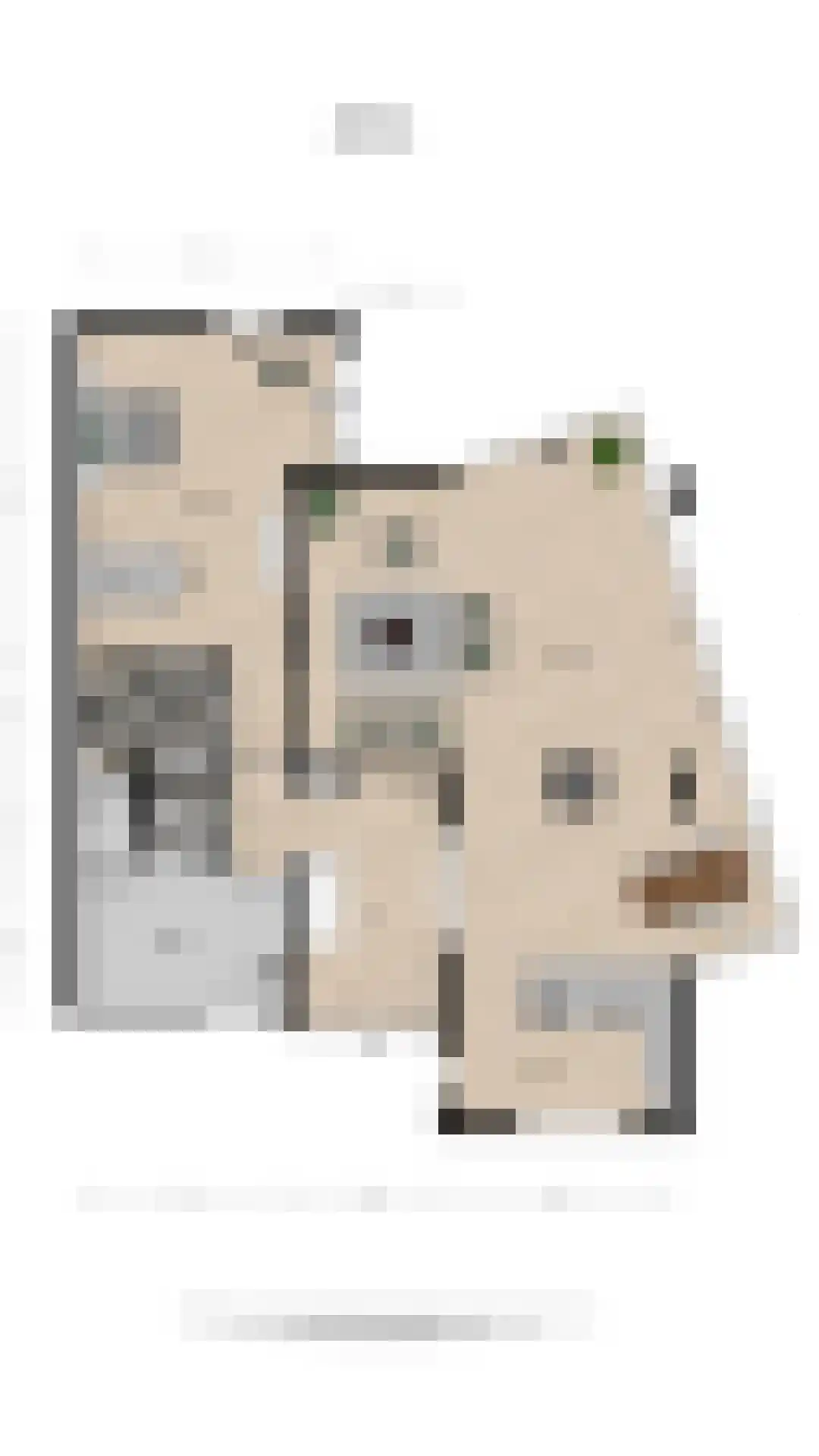 Aambeeld 13 Nieuwkoop thumbnail 74