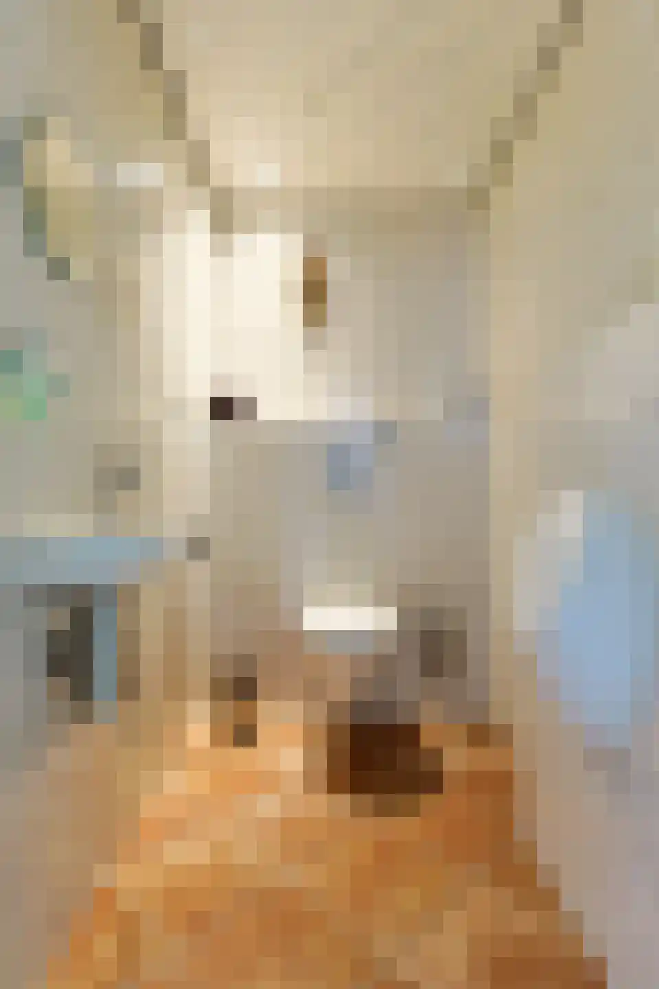 Aambeeld 13 Nieuwkoop thumbnail 9