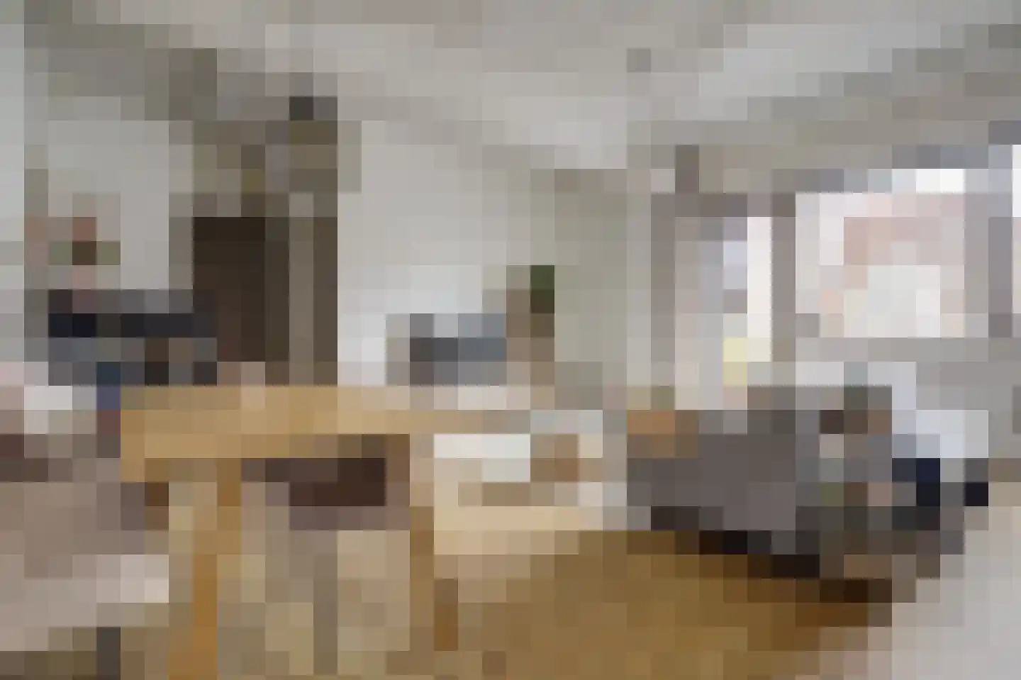 Aambeeld 24 B Wijchen thumbnail 10