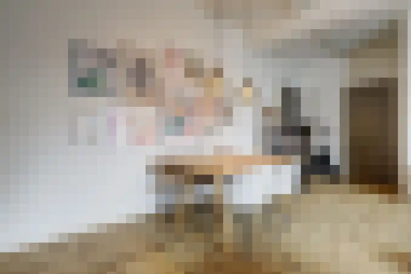 Aambeeld 24 B Wijchen thumbnail 11