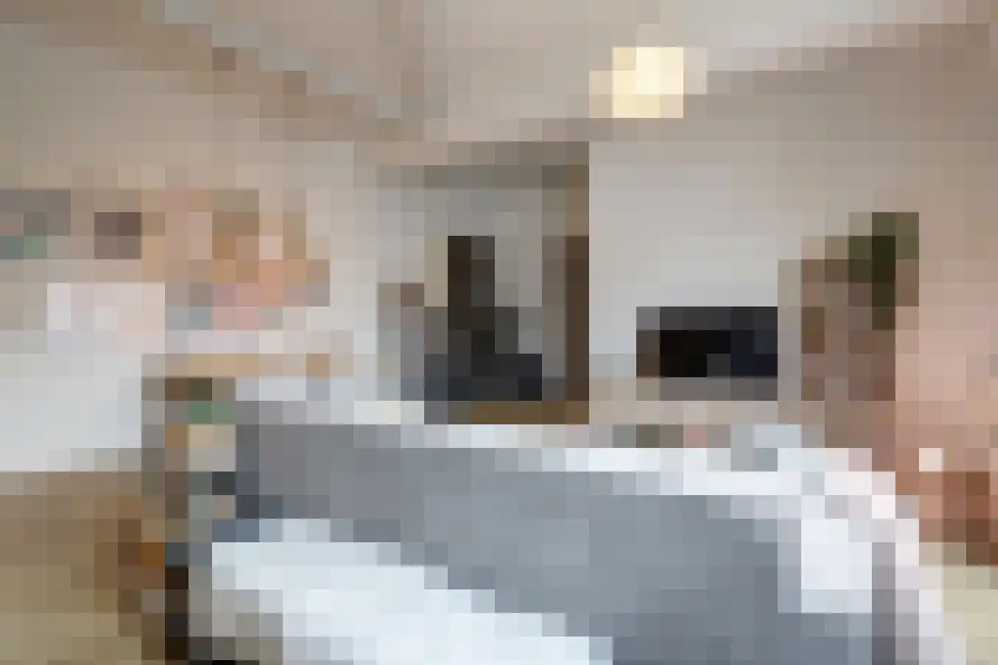 Aambeeld 24 B Wijchen thumbnail 12
