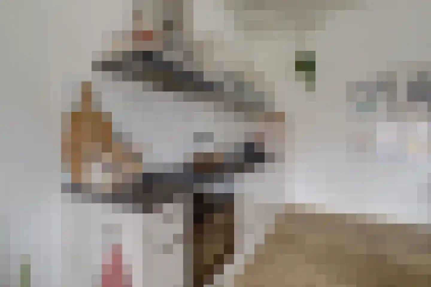 Aambeeld 24 B Wijchen thumbnail 14