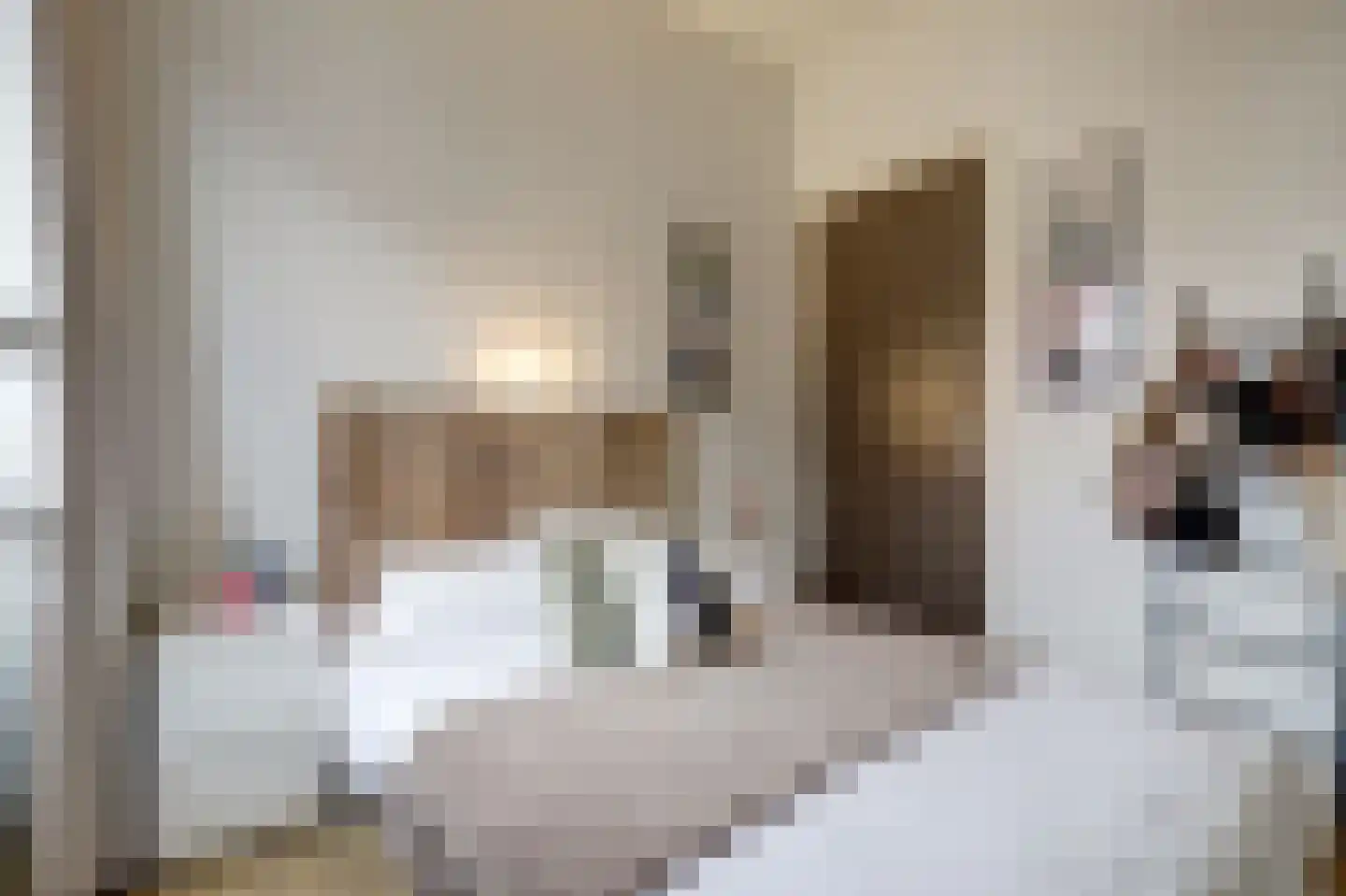 Aambeeld 24 B Wijchen thumbnail 16