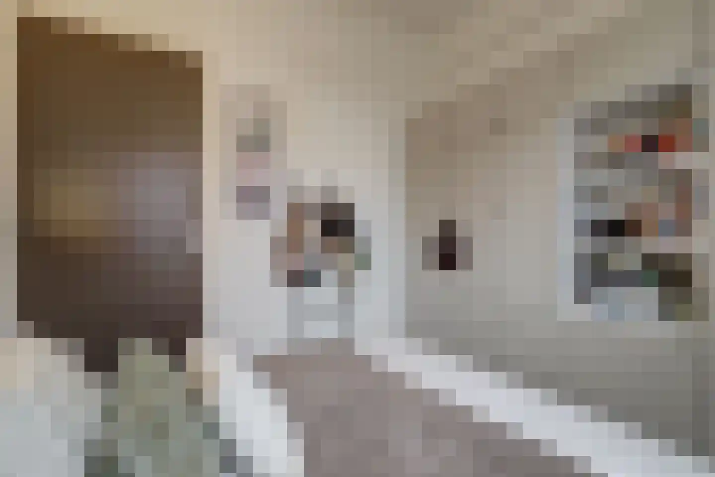 Aambeeld 24 B Wijchen thumbnail 17