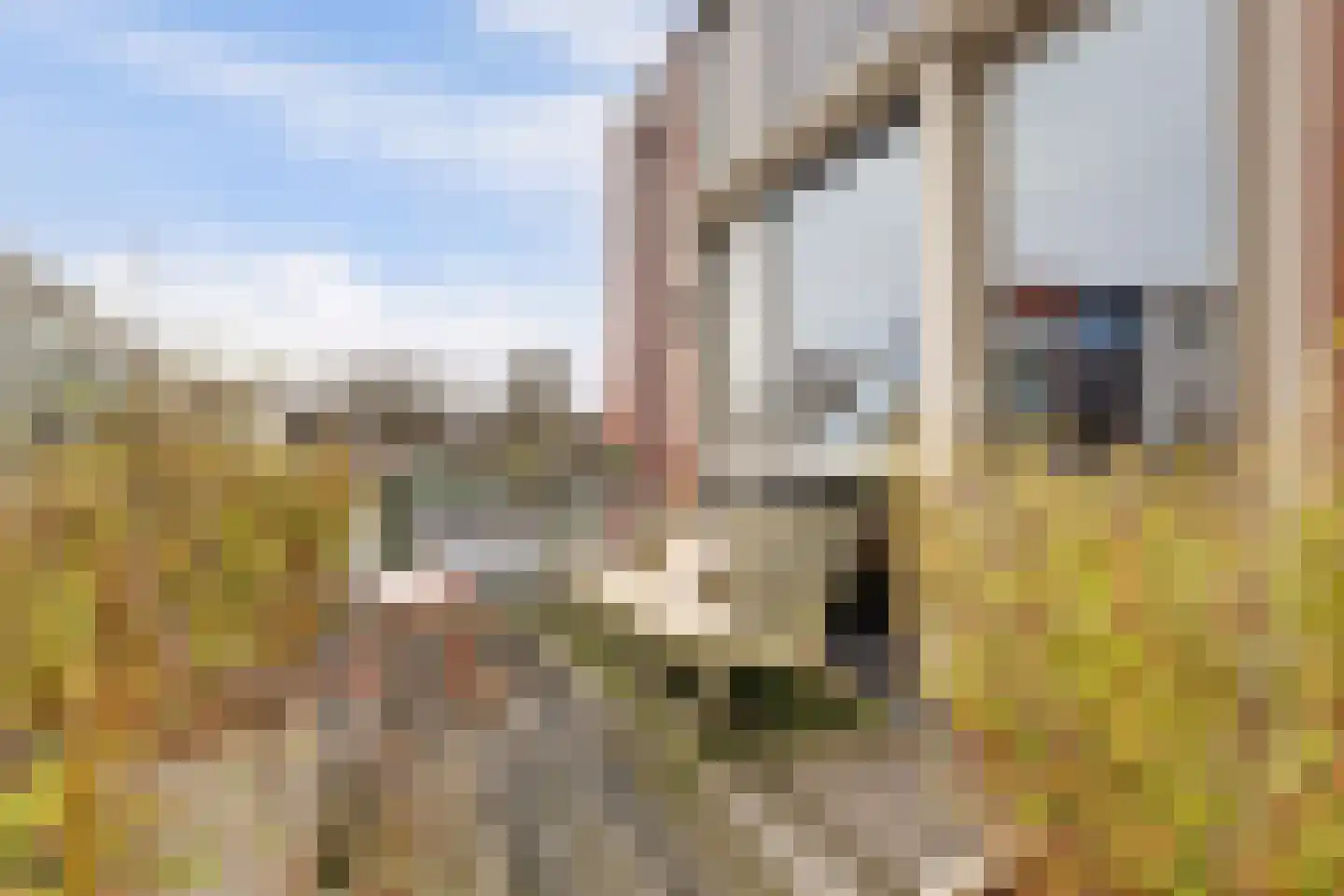 Aambeeld 24 B Wijchen thumbnail 22