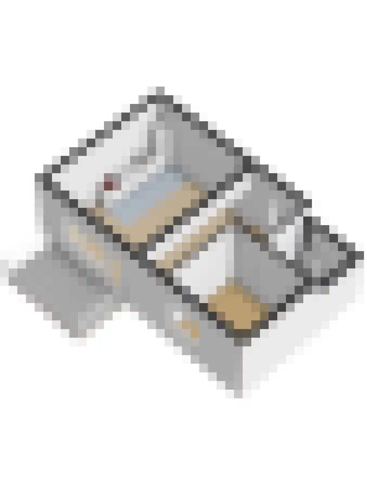 Aambeeld 24 B Wijchen thumbnail 31