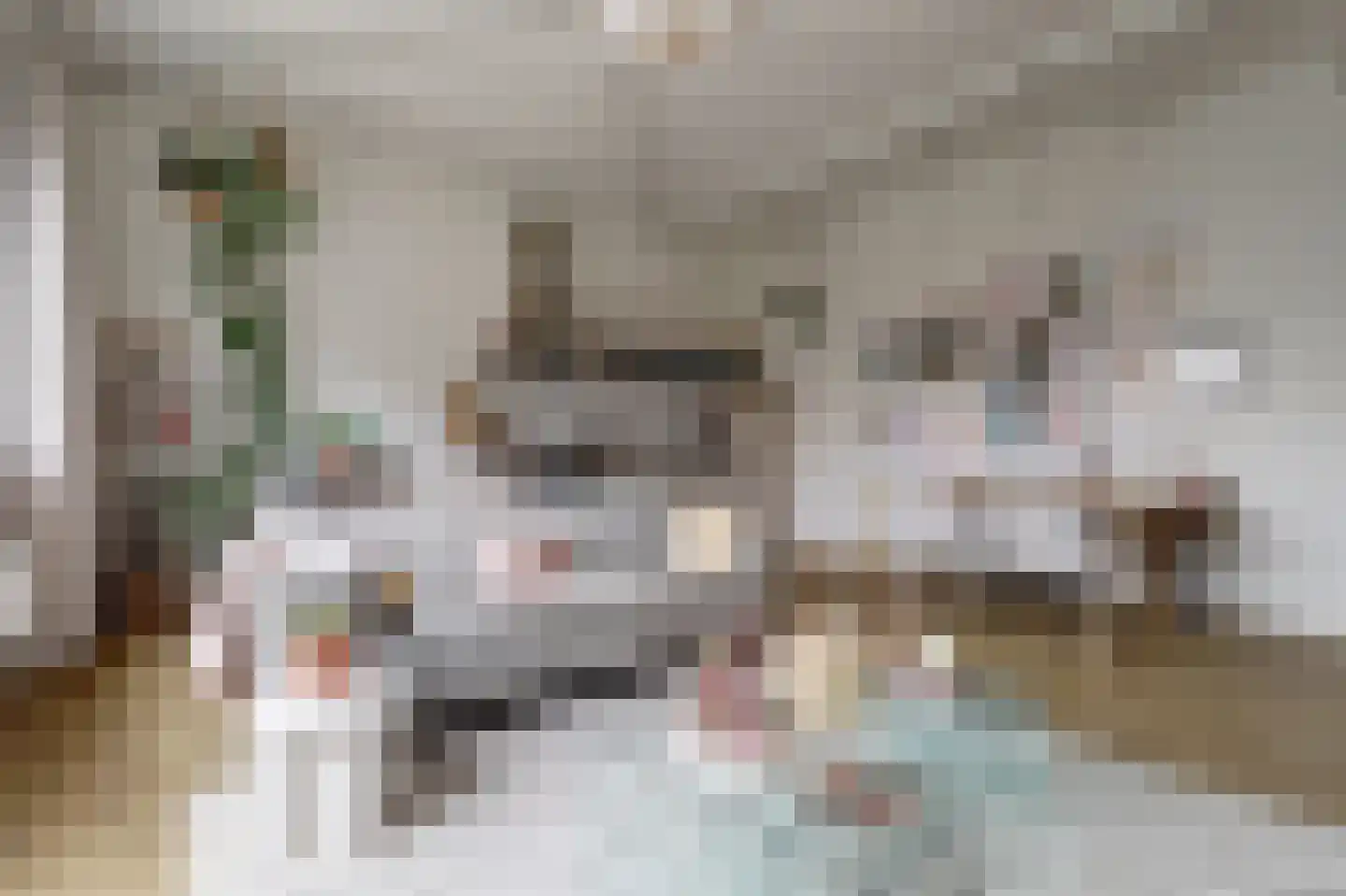 Aambeeld 24 B Wijchen thumbnail 8