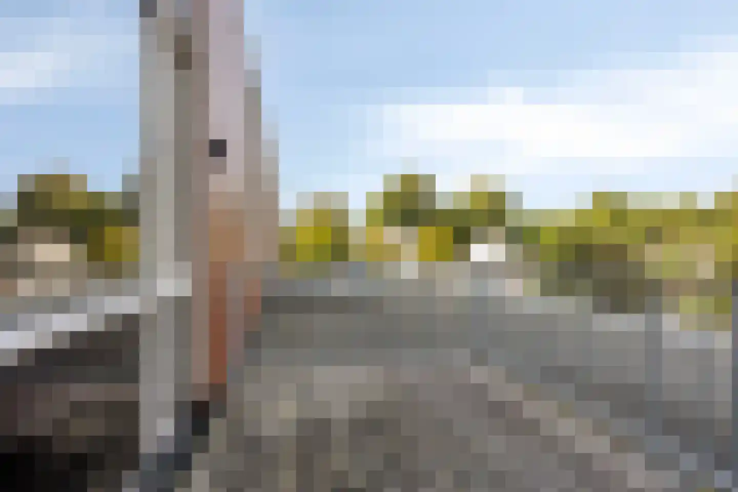 Aambeeld 24 C Wijchen thumbnail 16