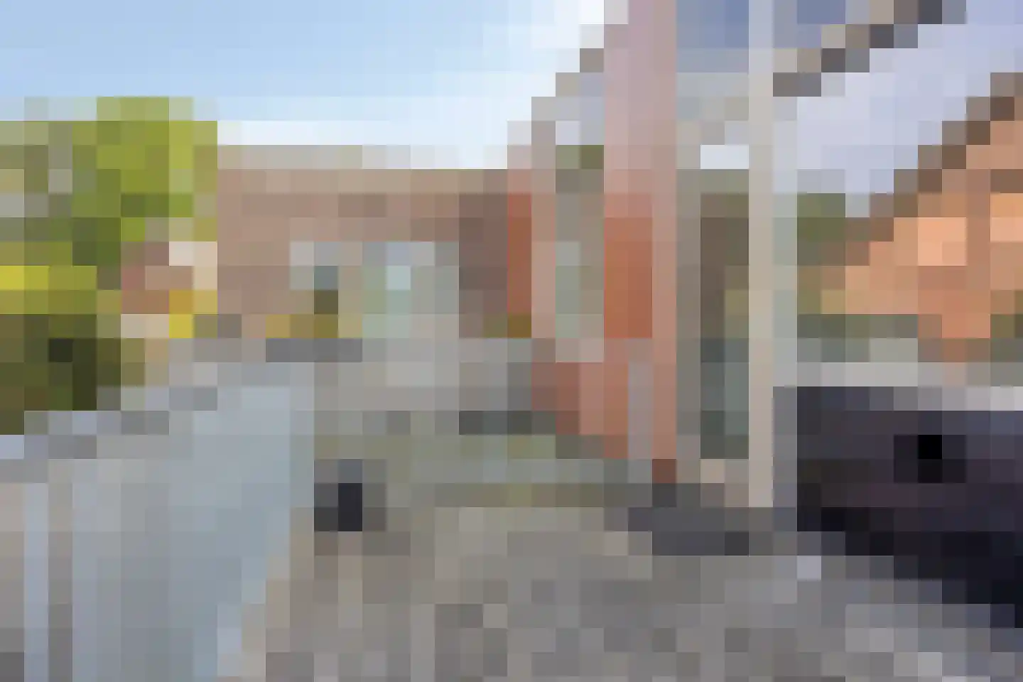 Aambeeld 24 C Wijchen foto 3