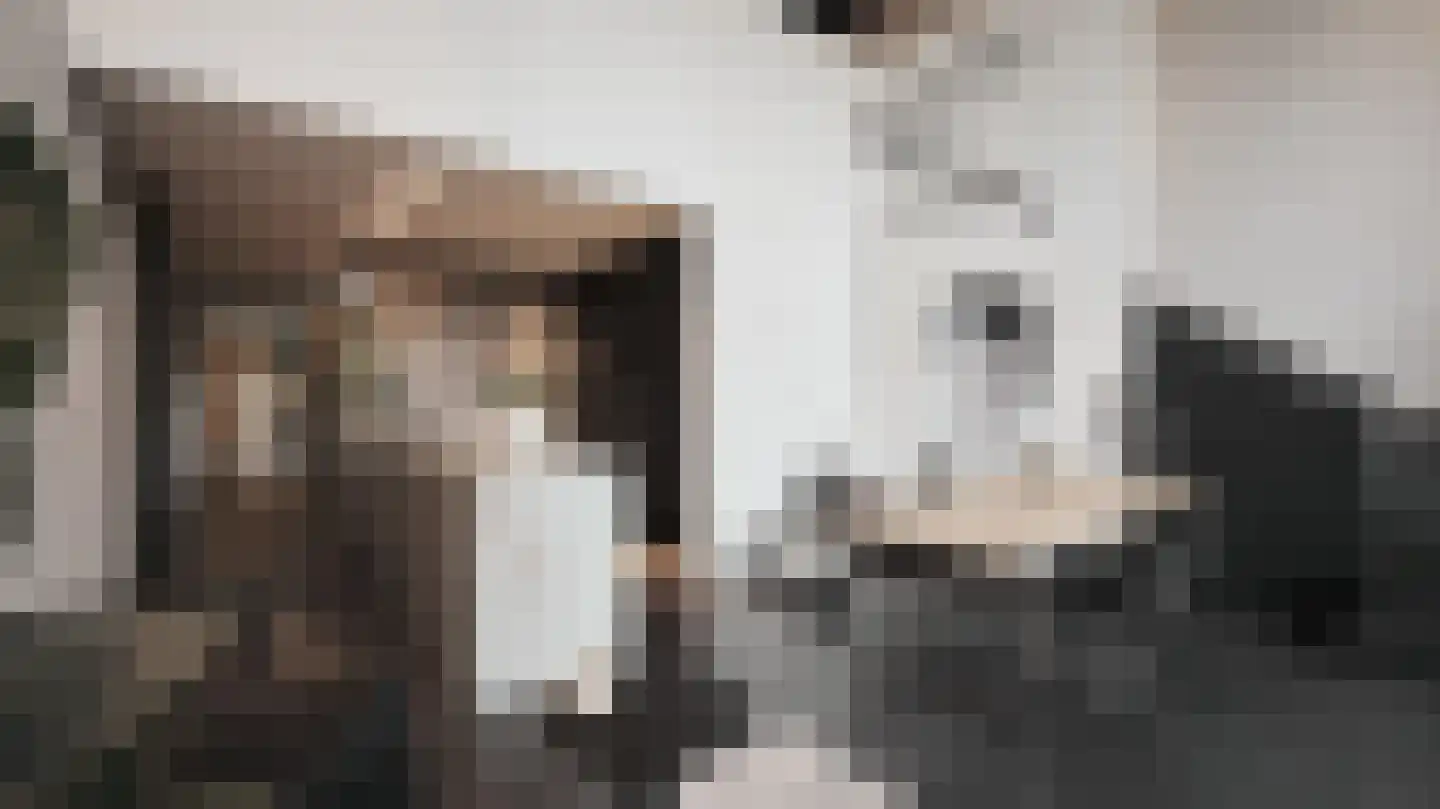 Aan Cedron 12 Venlo thumbnail 10