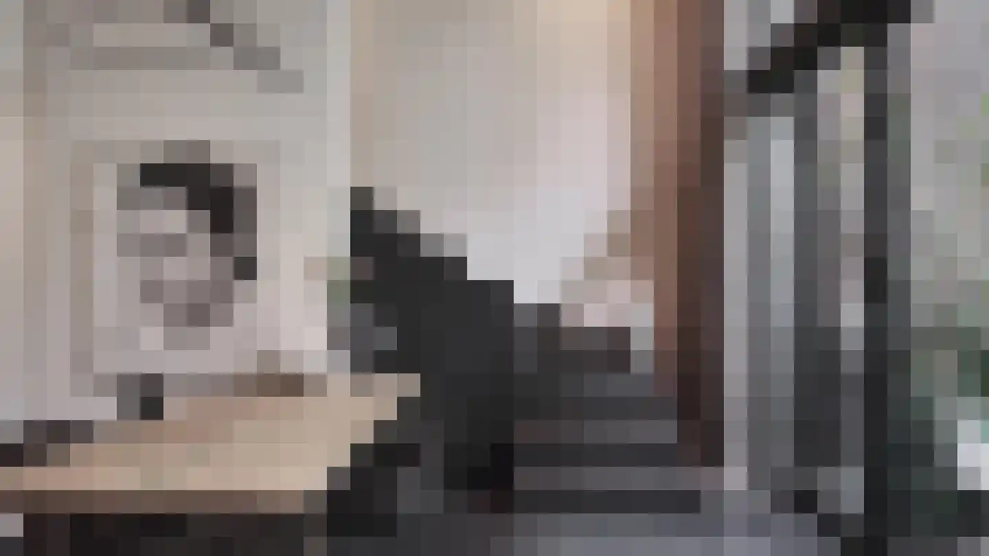 Aan Cedron 12 Venlo thumbnail 11
