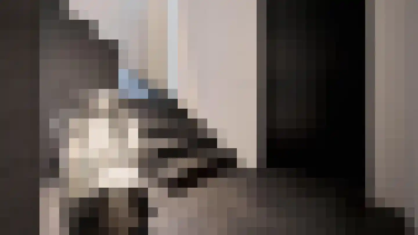 Aan Cedron 12 Venlo thumbnail 4