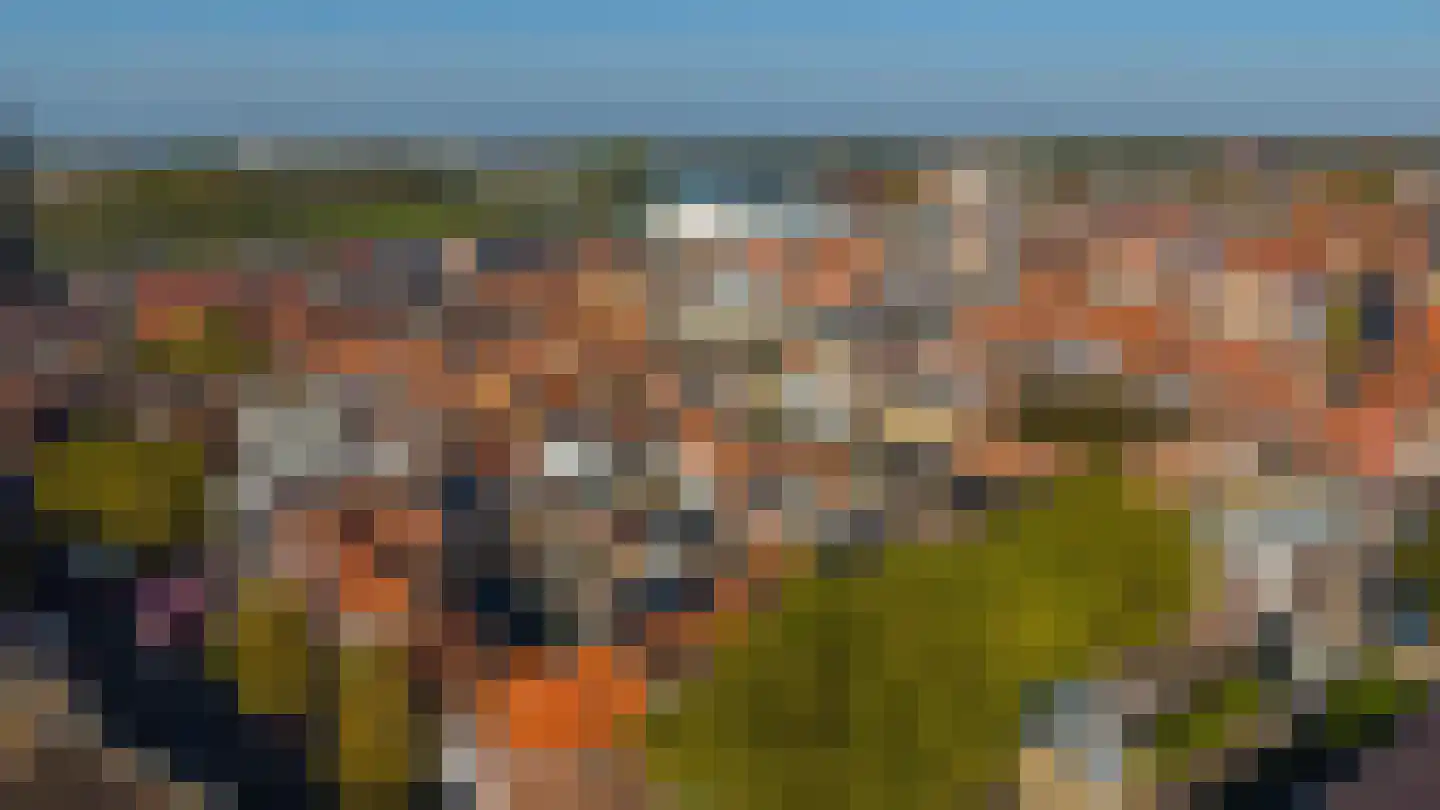 Aan Cedron 6 B Venlo thumbnail 30