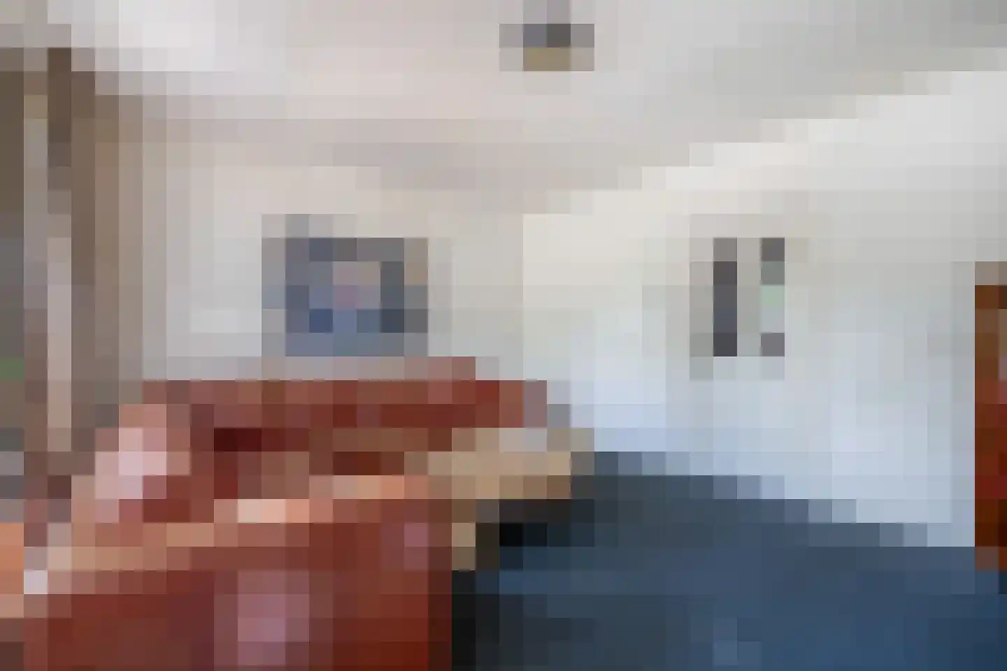 Aan Cedron 6 B Venlo thumbnail 7