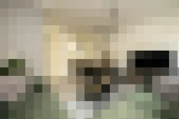Aan de Botersloot 14 Ammerstol thumbnail 10