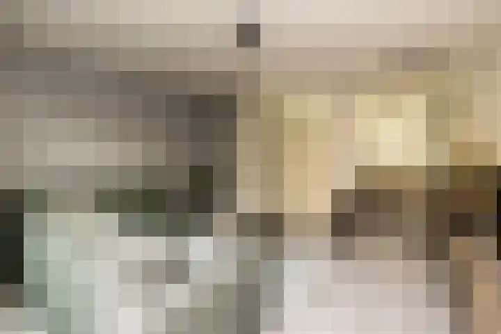 Aan de Botersloot 14 Ammerstol thumbnail 11