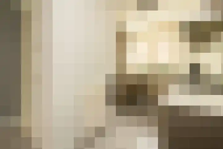 Aan de Botersloot 14 Ammerstol thumbnail 15