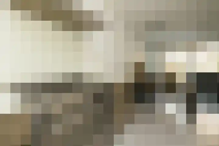 Aan de Botersloot 14 Ammerstol thumbnail 17