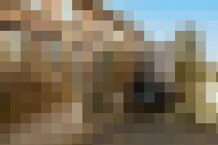 Aan de Botersloot 14 Ammerstol thumbnail 28