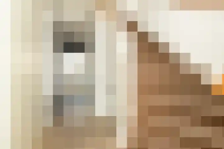 Aan de Botersloot 14 Ammerstol thumbnail 31