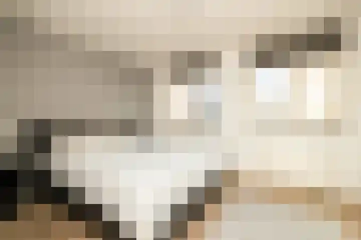 Aan de Botersloot 14 Ammerstol thumbnail 32