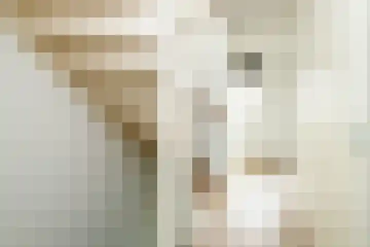 Aan de Botersloot 14 Ammerstol thumbnail 36