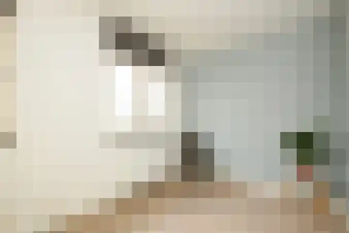 Aan de Botersloot 14 Ammerstol thumbnail 37