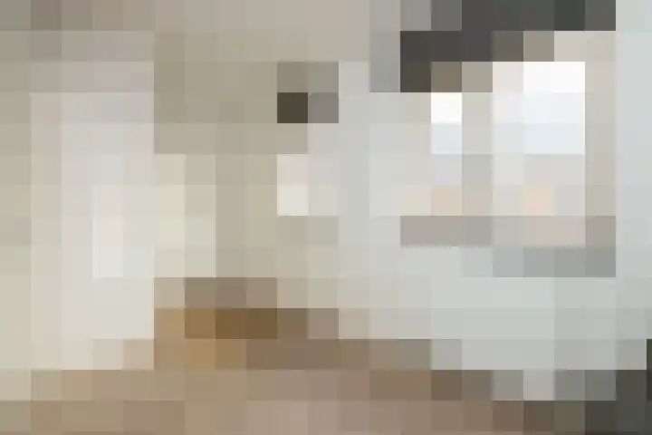 Aan de Botersloot 14 Ammerstol thumbnail 40