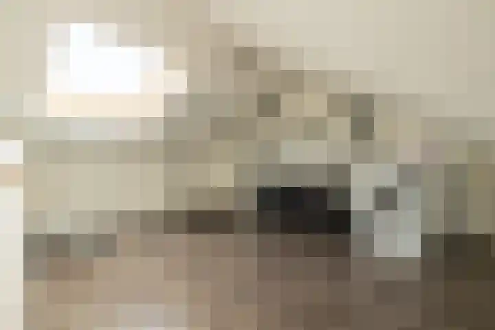 Aan de Botersloot 14 Ammerstol thumbnail 47