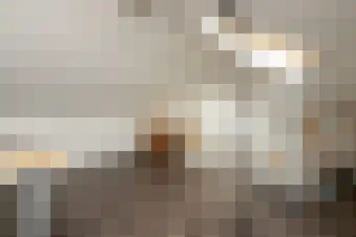 Aan de Botersloot 14 Ammerstol thumbnail 48