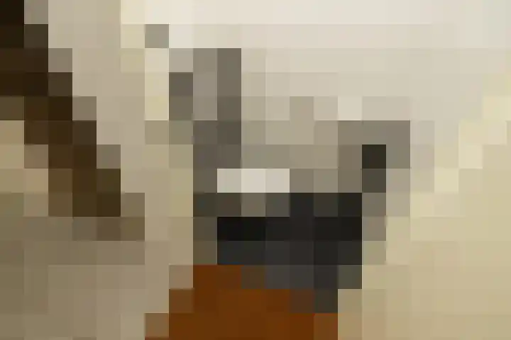 Aan de Botersloot 14 Ammerstol thumbnail 5