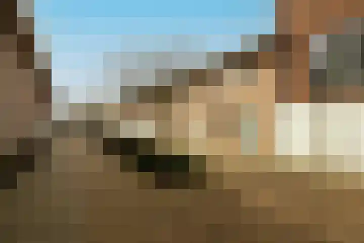 Aan de Botersloot 14 Ammerstol thumbnail 53