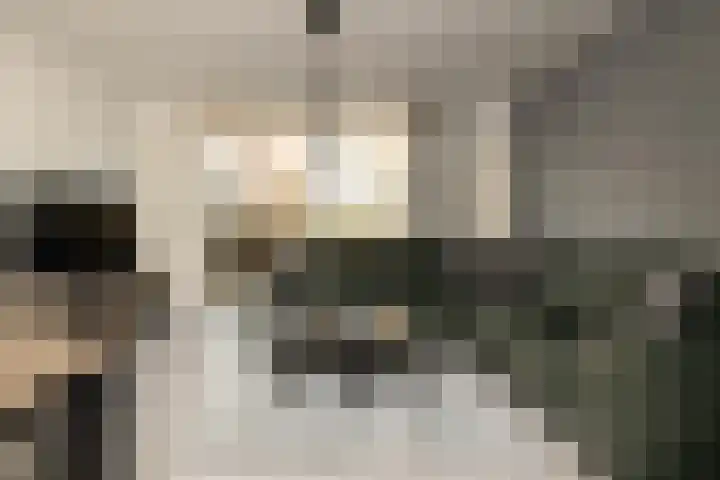 Aan de Botersloot 14 Ammerstol thumbnail 8