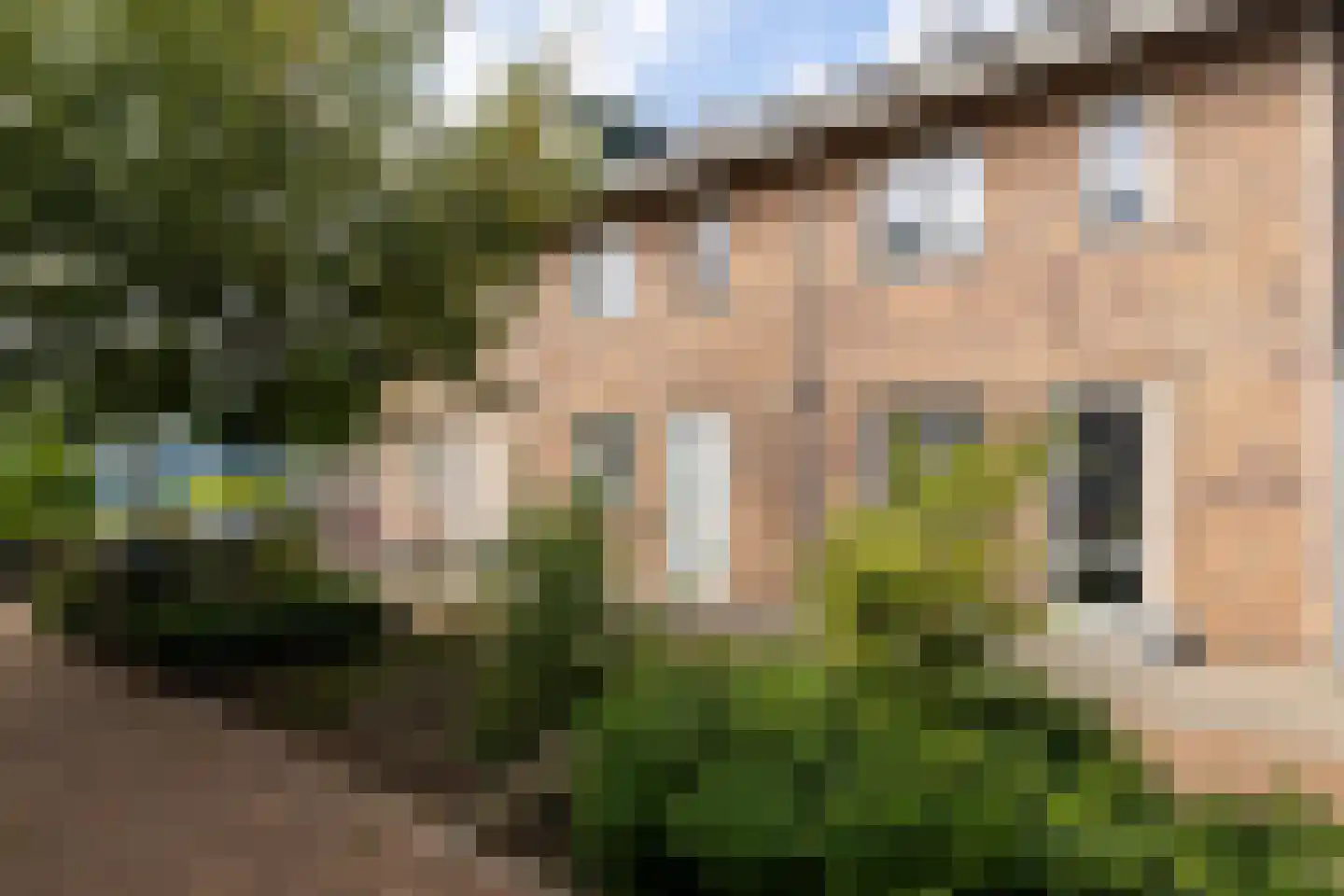 Aan de Botersloot 4 Ammerstol thumbnail 10