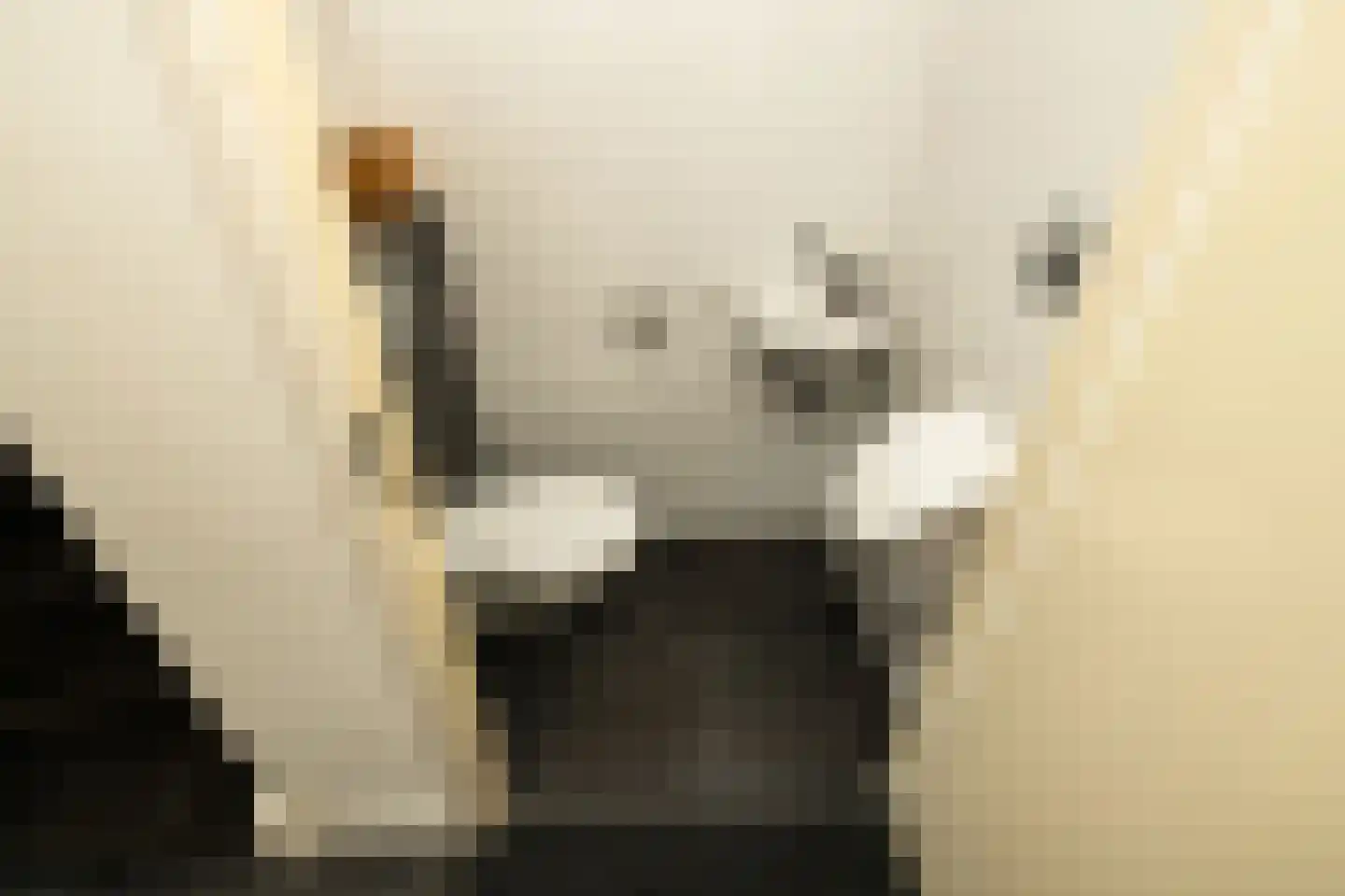 Aan de Botersloot 4 Ammerstol thumbnail 14